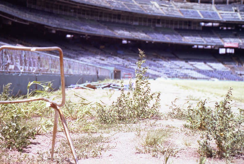 Weeds have taken over in foul territory down the right field line