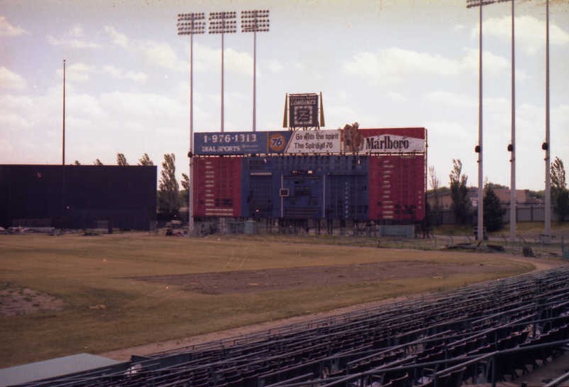 Sun-scorched, thirsty grass as you look out towards center field and the scoreboard (some had been removed as souvenirs after the final Vikings game)