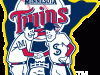2002 - 2009 alternate logo - Twins shaking hand over river on state of Minnesota
