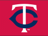 2004 - 2009 Twins cap logo