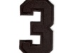 2011 Killebrew memorial patch