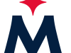 2023-Present-Twins-alternate-logo