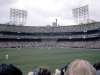 Met Stadium 1981