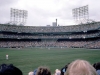 Met Stadium